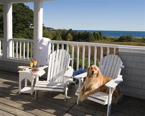 pet friendly hotels in hampton va|The 10 Best Pet Friendly Hotels in Hampton 2024 (with Prices ...